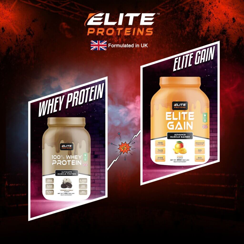 mass gainer vs whey protein